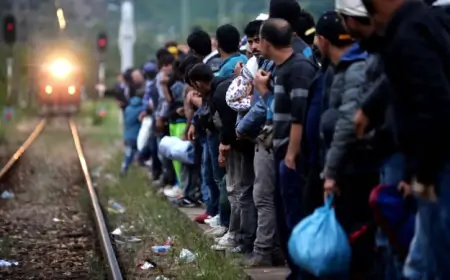 Šapčanin ilegalno prevozio migrante