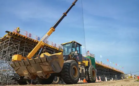 Dug Srbije prema Kini se povećao 12 puta