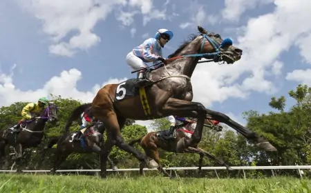 Mačvanski Derbi u Bogatiću