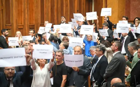 Slobodan Cvetković novi ministar privrede - Opozicija ometala glasanje