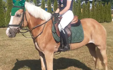 Tri zlata za Taur iz Čeneja