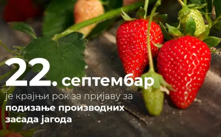 Izmenjeni rokovi za podnošenje zahteva za nabavku kvalitetnih priplodnih grla i podizanje zasada jagoda