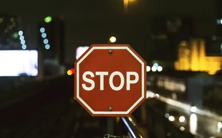 U narednih mesec dana zatvorena Savska ulica