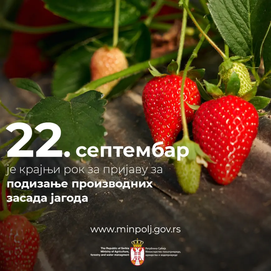 Izmenjeni rokovi za podnošenje zahteva za nabavku kvalitetnih priplodnih grla i podizanje zasada jagoda