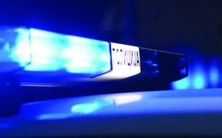 Desetogodišnjak ukrao 90.000 dinara