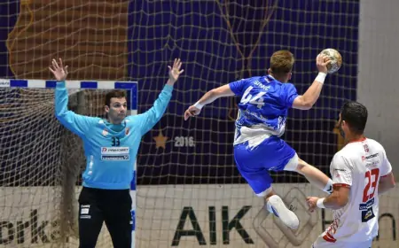 Metaloplastika dominantna protiv Crvene Zvezde