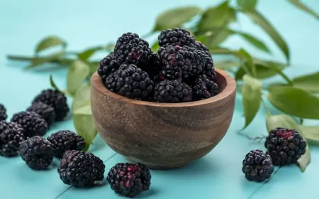 Vraćena kupina sa granice EU