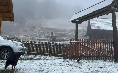 Pao prvi sneg u Srbiji!