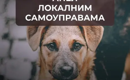 U Šapcu bez novogodišnjeg vatrometa!