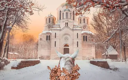 Danas je Badnji dan - Ovo su običaji i verovanja