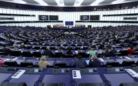 DS i Zajedno: U Strazburu zastupamo interese građana Srbije