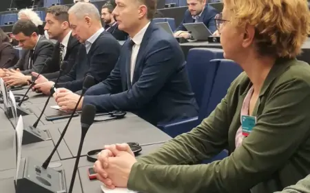 Nebojša Zelenović iz Strazbura: Na parlamentarnim izborima se najviše kralo