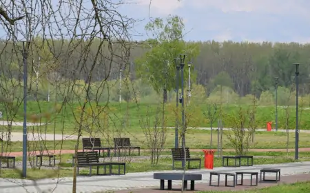 ZJZ Šabac: Kvalitet vazduha četiri dana imao prekoračenje dnevnih vrednosti za suspendovane čestice