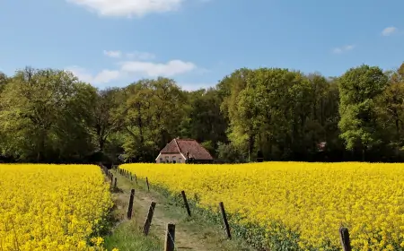 Raspisan javni poziv za podsticaj seoskog turizma