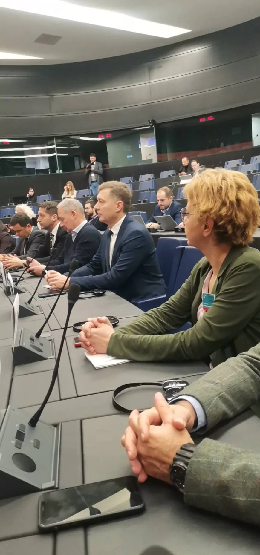 Nebojša Zelenović iz Strazbura: Na parlamentarnim izborima se najviše kralo