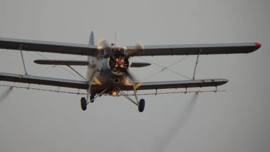 U subotu počinje zaprašivanje komaraca