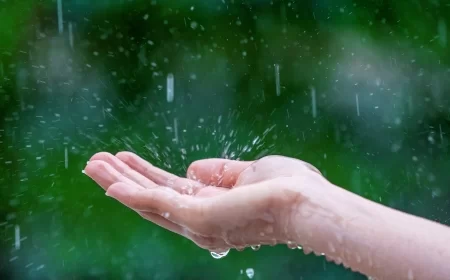 Umereno i potpuno oblačno, malo svežije i vetrovito