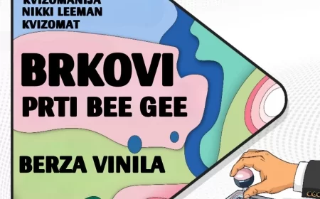 Šalt fest – spoj kviza i dobre muzike