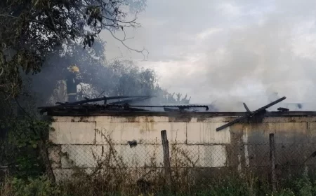 Požar kod Kostadinovića puta: Izgoreo pomoćni objekat, nema povređenih