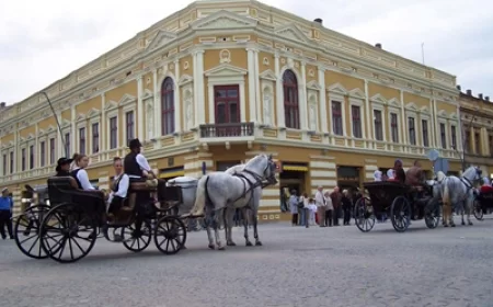 Turistička organizacija Šapca potvrdila: Čivijada u prilagođenom formatu, bez Bore Božanića