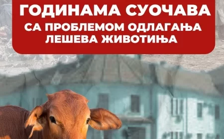 „Pobeda za Mačvu“ traži hitnu reakciju Ministarstva zbog odlaganja životinjskih leševa