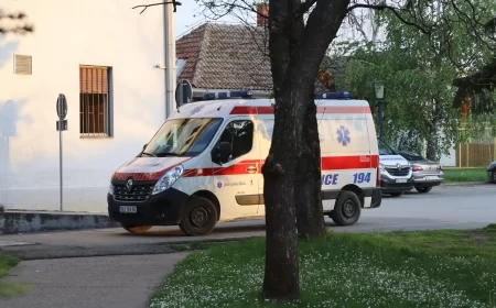 Tragedija u Bogatiću: Majka poginula dok je gurala dete u guralici, vozač pobegao pa uhapšen