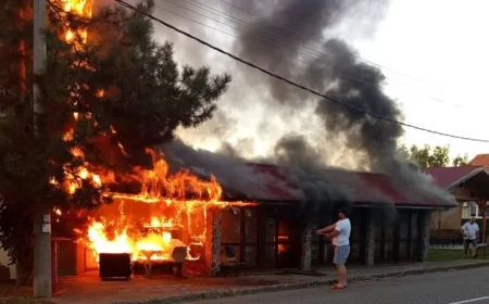 Veliki požar u Tekerišu: Izgoreo kafe-restoran kod spomenika Cerskim junacima