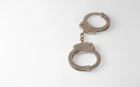 Pritvor do 30 dana za vozača iz Bogatića: Pijan autom usmrtio ženu, povredio dete u kolicima