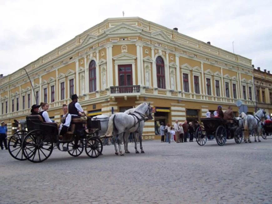 Turistička organizacija Šapca potvrdila: Čivijada u prilagođenom formatu, bez Bore Božanića