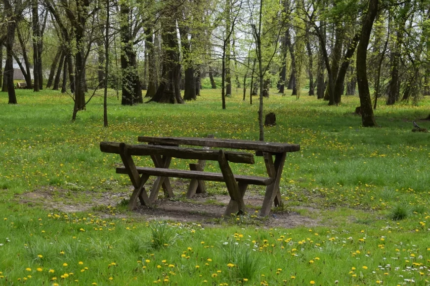 Mestimično maglovito jutro, tokom dana sunčani intervali i do 29 stepeni