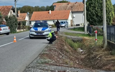 Policija brzo pronašla vozača koji je pobegao nakon što je usmrtio ženu u Bogosavcu