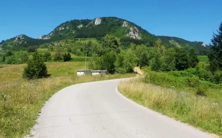Rasprodaja Srbije: Australijski Middle Island već počeo da buši na Bobiji