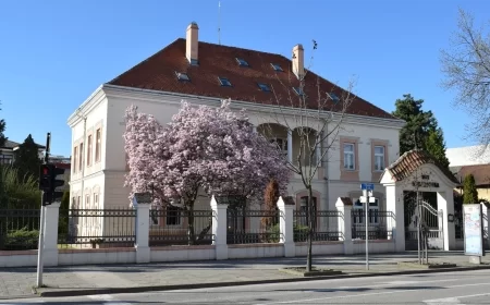 Likovno-literarni konkurs povodom 70 godina Dečjeg odeljenja Biblioteke šabačke: „Biblioteka u srcu detinjstva – sedamdeset godina radosti čitanja“
