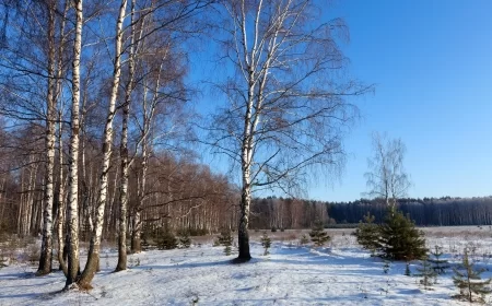 Mitrovdan – dan hajdučkog rastanka i narodnih običaja