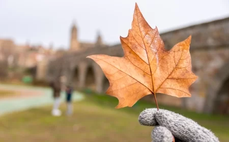 Nagla promena vremena – kiša stiže sa severozapada, uveče zahlađenje i prelazak u sneg