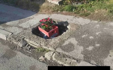 Neobičan prizor u Debrcu: Saksije sa cvećem u rupama na trotoaru