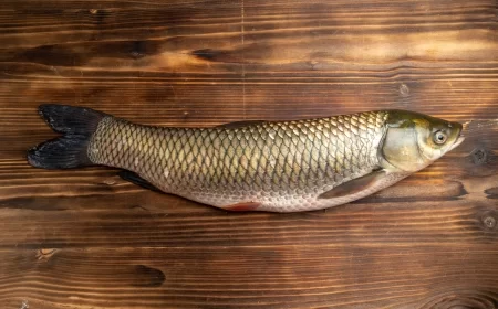 Lopovi u fantomkama odneli pedesetak kilograma sušene ribe iz sušare u Jelavu