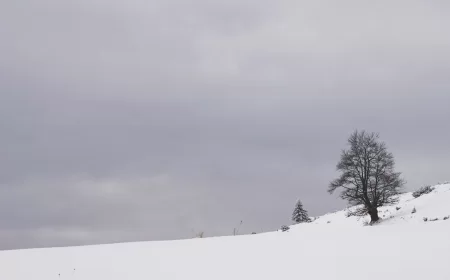 RHMZ upozorava: Od večeras jači sneg u planinskim krajevima, oprez na putevima