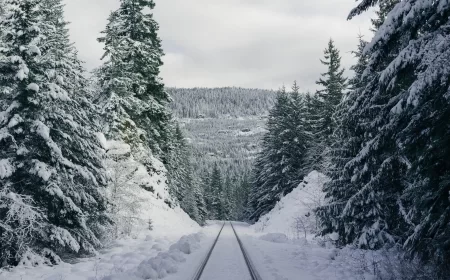 Hladan talas zahvata Srbiju