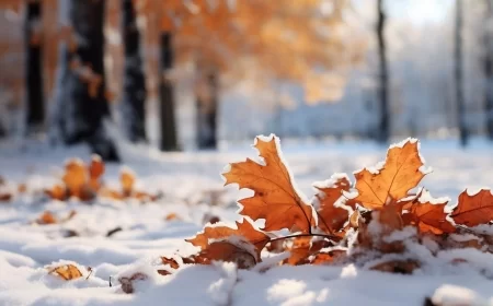 Danas oblačno i hladno sa slabim snegom