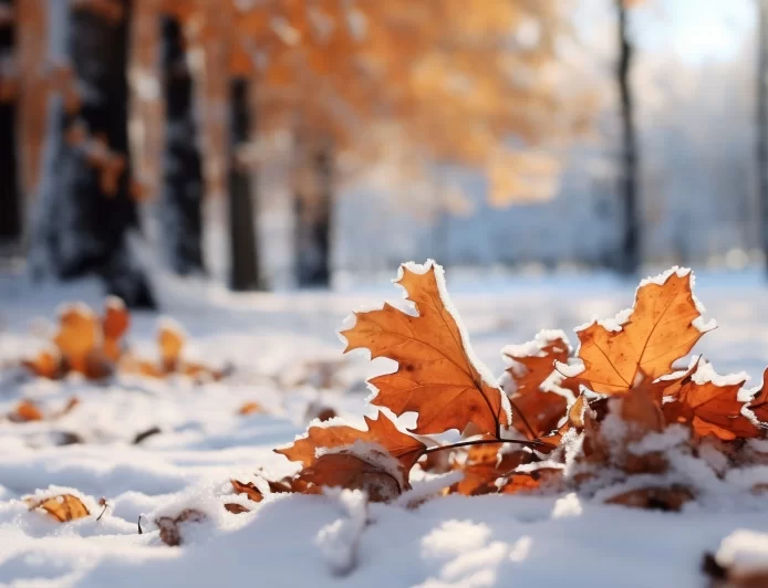 Danas oblačno i hladno sa slabim snegom