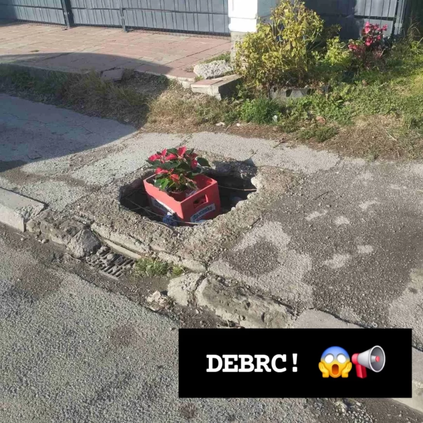 Neobičan prizor u Debrcu: Saksije sa cvećem u rupama na trotoaru