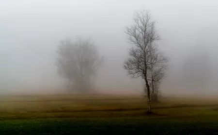 Maglovito jutro uz kasnije naoblačenje i povremenu slabu kišu