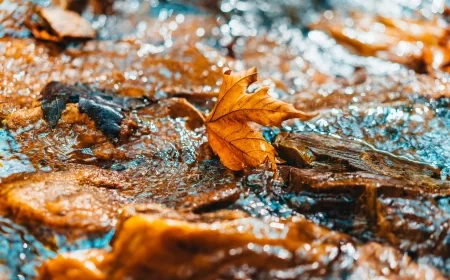 Vreme danas umereno do potpuno oblačno