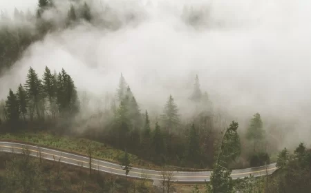 Danas magla i niska oblačnost