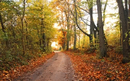 Od utorka do kraja sedmice suvo, stabilno i toplije
