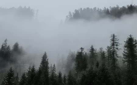 Vremenska prognoza: Niska oblačnost i magla