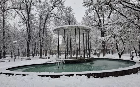 Zima ne popušta: sneg, poledica i kiša širom zemlje