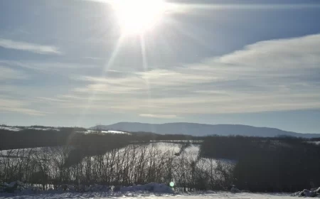 Vreme danas toplije i suvo!