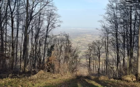 Narednih dana jutra prohladna, lokalno uz slab mraz